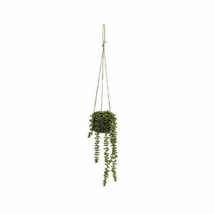 Sztuczna roślina (wysokość 37 cm) Senecio – Casa Selección obraz