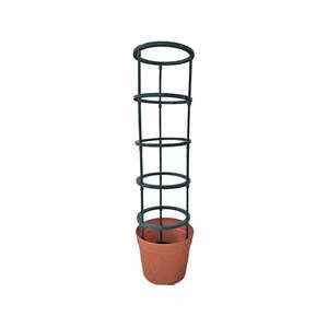 Podpora do roślin ogrodowych – Garden Pleasure obraz