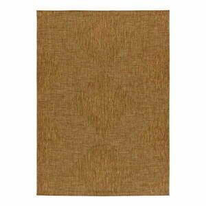 Brązowy dywan odpowiedni na zewnątrz 120x170 cm Guinea Natural – Universal obraz