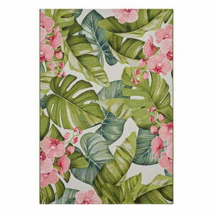 Dywan odpowiedni na zewnątrz 80x165 cm Flair – Hanse Home obraz