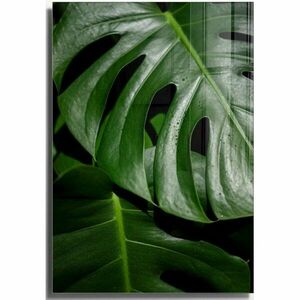 Szklany obraz 70x100 cm Monstera – Wallity obraz