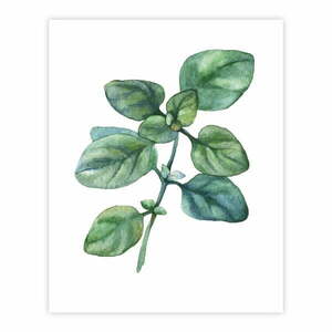 Plakat 40x50 cm obraz