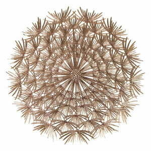 Plastikowe maty stołowe zestaw 6 szt. ø 38 cm Dandelion – VDE Tivoli 1996 obraz