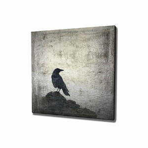 Obraz na płótnie Black Bird, 45x45 cm obraz