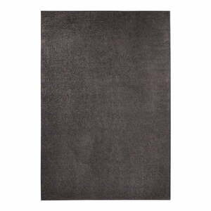 Antracytowy dywan Hanse Home Pure, 80x150 cm obraz