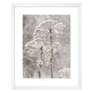 Obraz 40x50 cm Snow – knor obraz