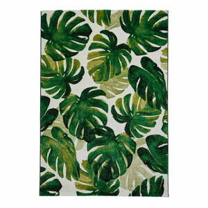 Ciemnozielony dywan 120x170 cm Havana – Think Rugs obraz