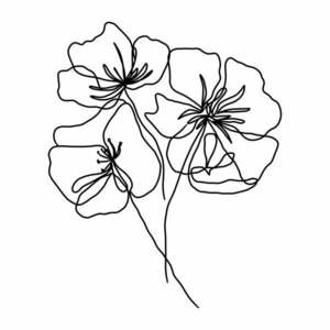 Plakat 29x41 cm Black Poppy – Veronika Boulová obraz