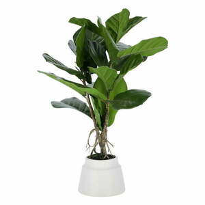 Sztuczny fikus (wysokość 60 cm) Lyrata – Kave Home obraz