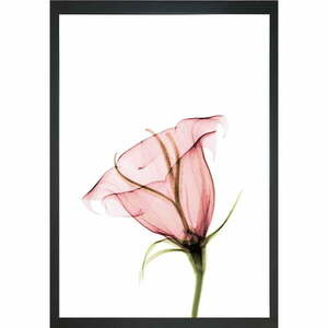 Obraz 24x29 cm Misty Bloom – Vavien Artwork obraz