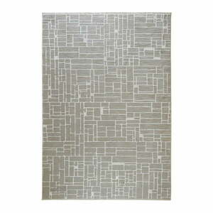 Szaro-beżowy dywan 80x150 cm Jaipur – Webtappeti obraz
