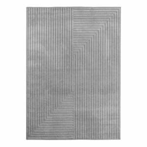 Szary dywan odpowiedni na zewnątrz 80x150 cm Nova 1202 – Ayyildiz Carpets obraz