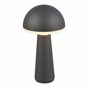 Lampa zewnętrzna ze ściemniaczem ø 16 cm Fungo – Trio obraz
