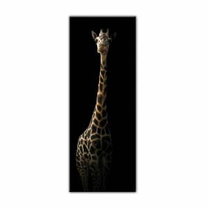 Obraz Styler Glas Animals Gira, 50x125 cm obraz