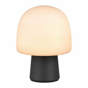 Czarno-biała lampa stołowa ze szklanym kloszem (wysokość 27 cm) Steen – Trio obraz