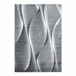 Ciemnoszary dywan 160x230 cm Parma – Ayyildiz Carpets obraz