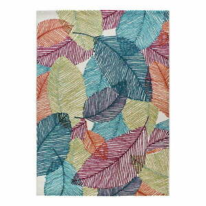 Dywan 160x230 cm Viva – Universal obraz