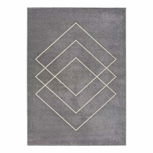 Dywan w srebrnym kolorzeUniversal Breda, 160x115 cm obraz