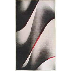 Biało-czarny chodnik odpowiedni do prania 200x80 cm – Vitaus obraz