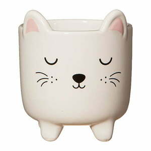 Kamienna doniczka ø 7, 5 cm Cat – Sass & Belle obraz