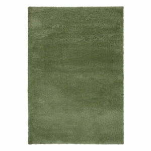 Zielony dywan 120x170 cm – Flair Rugs obraz