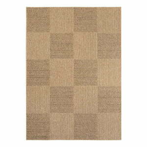 Brązowy dywan odpowiedni na zewnątrz 120x170 cm Timber 1405 – Ayyildiz Carpets obraz
