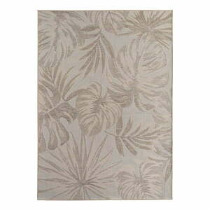 Beżowy dywan odpowiedni na zewnątrz 140x200 cm Desert 1302 – Ayyildiz Carpets obraz