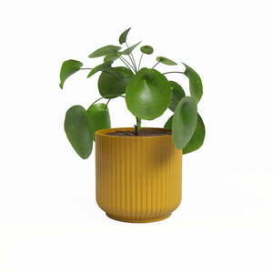 Ceramiczna doniczka ø 19 cm Luna – Artevasi obraz