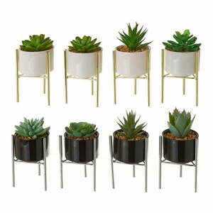 Sztuczne kwiaty zestaw 8 szt. Cactus – Casa Selección obraz