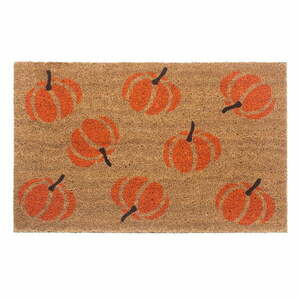 Wycieraczka 45x75 cm Mix Mats – Hanse Home obraz