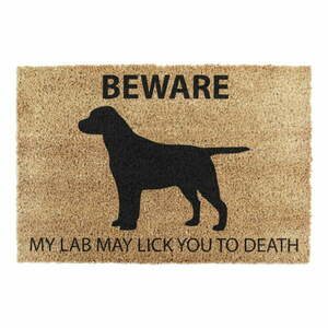 Wycieraczka z włókna kokosowego 40x60 cm Labrador – Artsy Doormats obraz