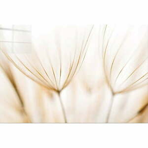 Szklany obraz 100x70 cm Fluff – Wallity obraz