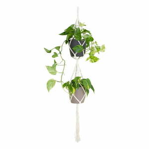 Tekstylny system do zawieszenia doniczki ø 10 cm (wysokość 120 cm) Macramé – Artevasi obraz