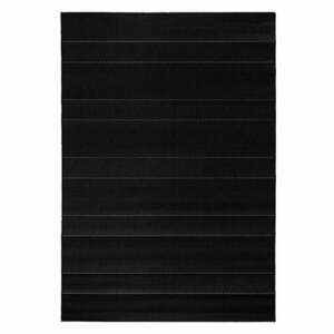 Czarny dywan odpowiedni na zewnątrz Hanse Home Sunshine, 80x150 cm obraz