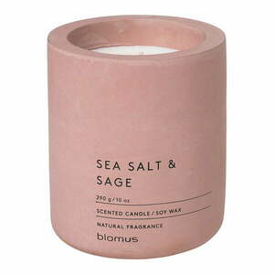 Zapachowa sojowa świeca czas palenia 55 h Fraga: Sea Salt and Sage – Blomus obraz