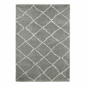Szary dywan Think Rugs Royal Nomadic, 120x170 cm obraz