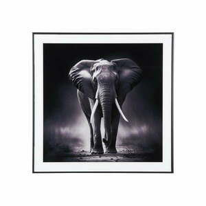 Obraz 50x50 cm Elephant – PT LIVING obraz
