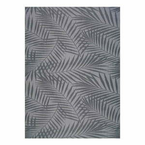 Szary dywan zewnętrzny Universal Palm, 160x230 cm obraz