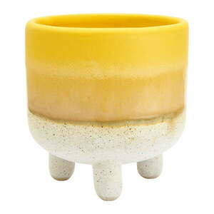 Żółto-biały doniczka Sass & Belle Bohemian Home Mojave, ø 7, 5 cm obraz