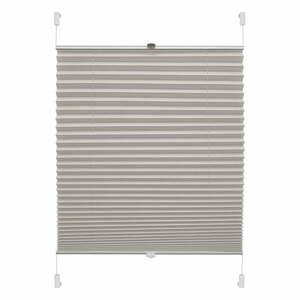 Szara roleta 72, 5x150 cm Plisé Verona – Gardinia obraz