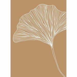 Plakat 29x41 cm Gingko – Veronika Boulová obraz