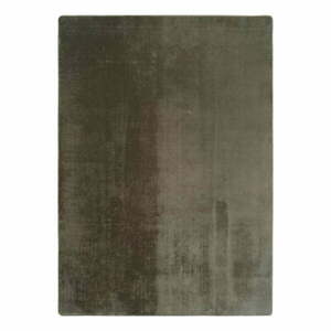 Dywan odpowiedni do prania w kolorze khaki 160x220 cm Joy 1400 – Ayyildiz Carpets obraz