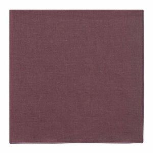 Serwetka lniana 42x42 cm Lineo – Blomus obraz