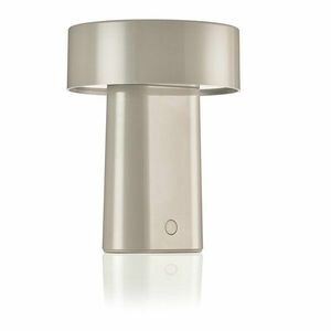 Szarobeżowa plastikowa lampa stołowa LED (wysokość 18 cm) Oblong – Zone obraz