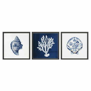 Obraz 30x30 cm Sea Treasure – Styler obraz