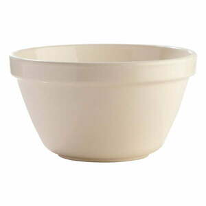 Biała misa kamionkowa Mason Cash Basin, ⌀ 22 cm obraz