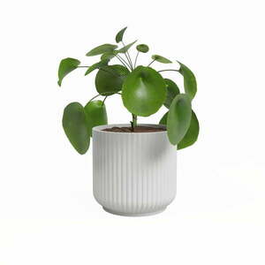 Ceramiczna doniczka ø 15 cm Luna – Artevasi obraz