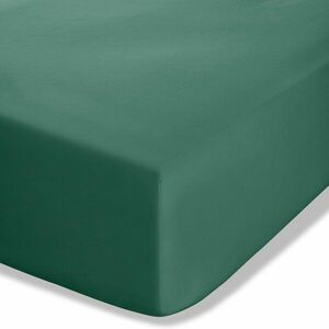Ciemnozielone prześcieradło z perkalu z gumką 90x190 cm Easy Iron Percale – Catherine Lansfield obraz