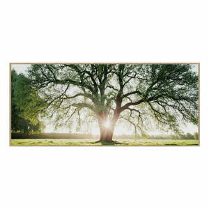 Obraz 150x60 cm Tree in the Sun obraz