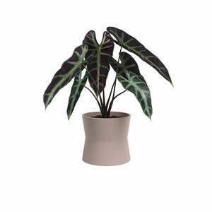 Ceramiczna doniczka ø 14 cm Diana – Artevasi obraz